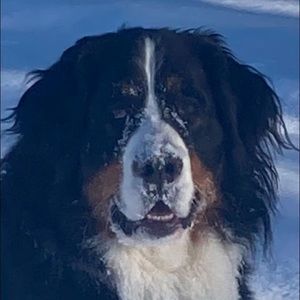 Meet your Posher, Melinda